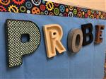 Probe