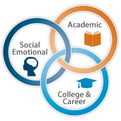 School Counselor