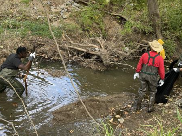 Ball Creek Clean Up